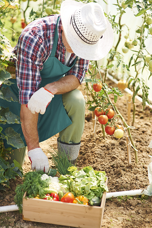 Hard work in garden brings results