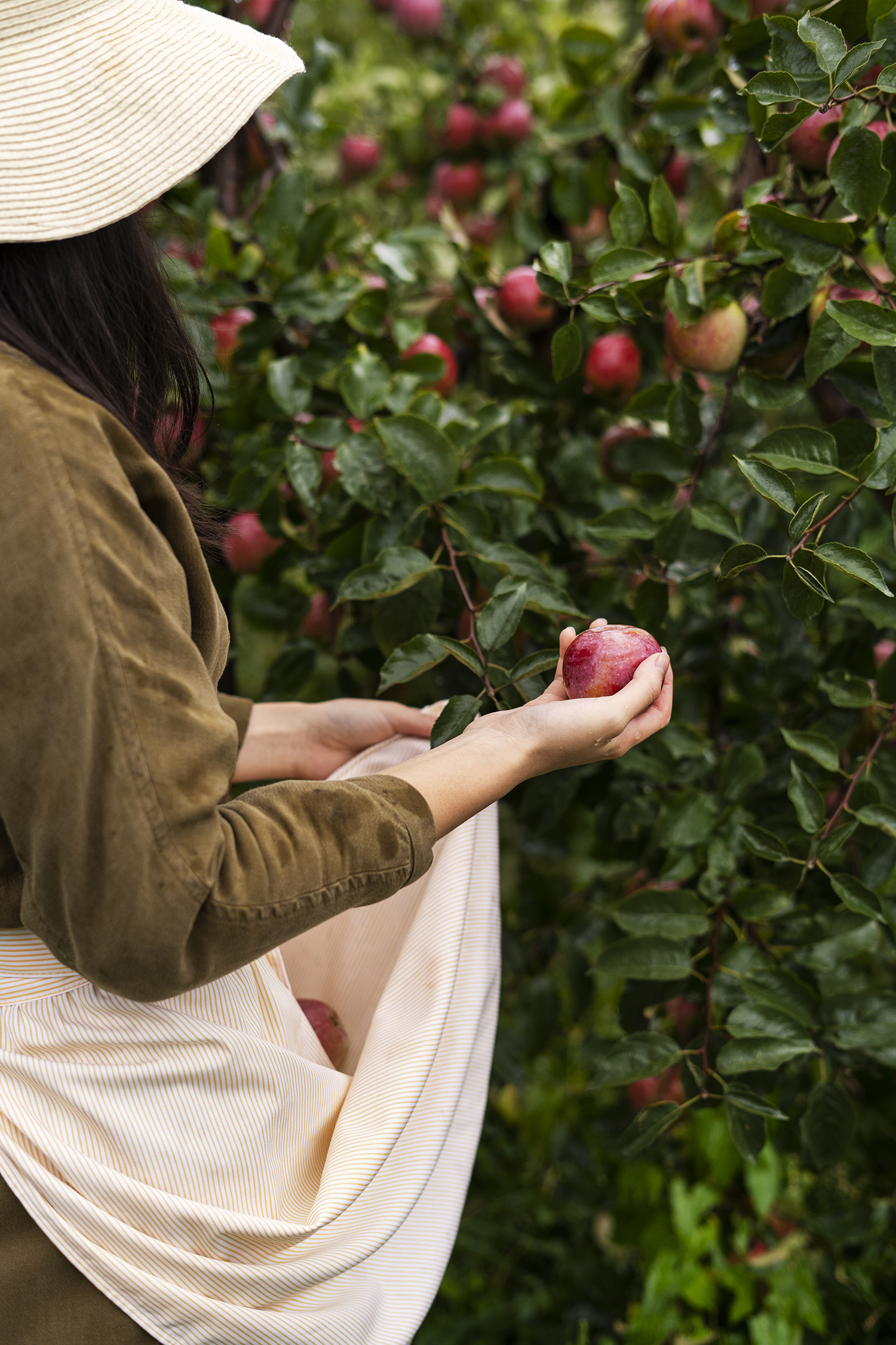 woman-holding-fruit-high-angle